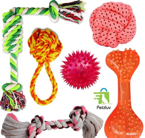 Interactive Pet Toy
